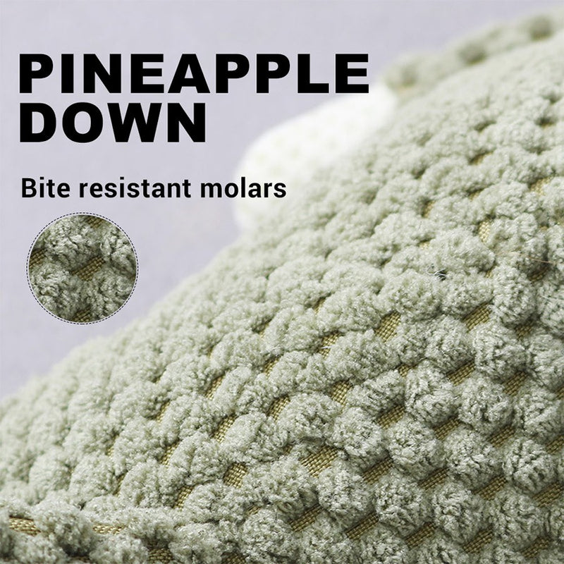 AuToy | Brinquedo Para Pets | Seu Pet Feliz