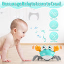 Caramingo | Caranguejo Robo | Criança Feliz