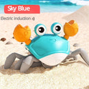 Caramingo | Caranguejo Robo | Criança Feliz