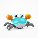 Caramingo | Caranguejo Robô | Criança Feliz