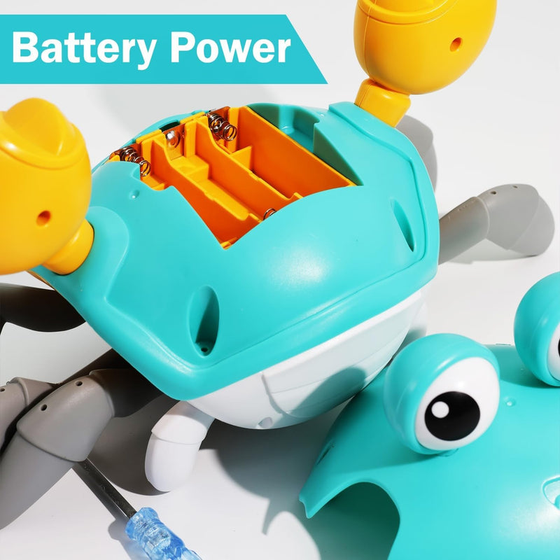 Caramingo | Caranguejo Robo | Criança Feliz